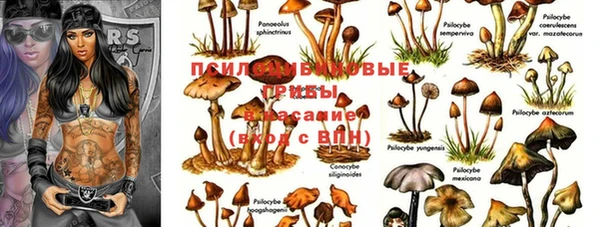 гидропоника Нея