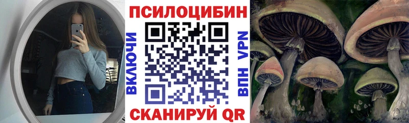 что такое Мегион ОМГ ОМГ ССЫЛКА Галлюциногенные грибы мицелий